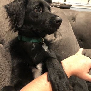 Meet your Posher, Lori